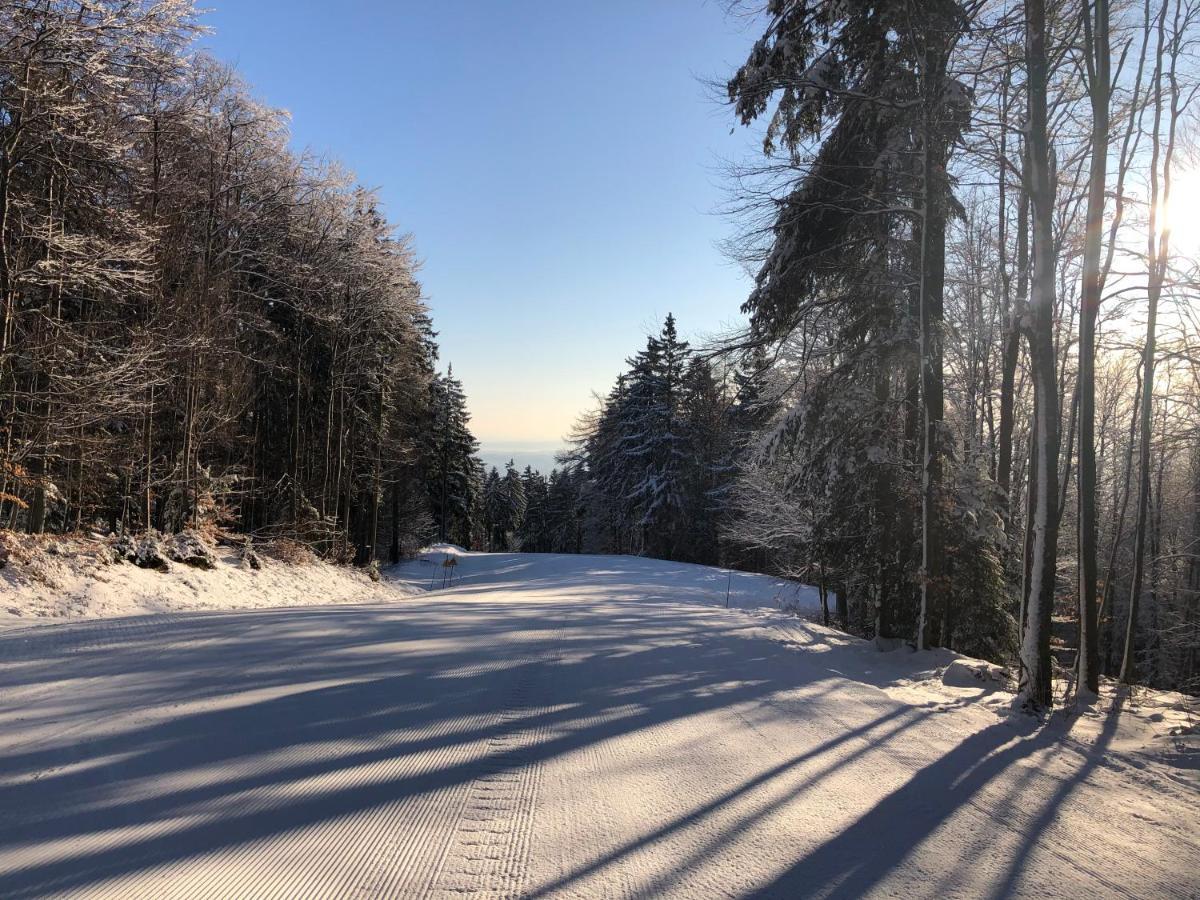 Chalet Anra Pohorje Zgornje Hoce Eksteriør billede