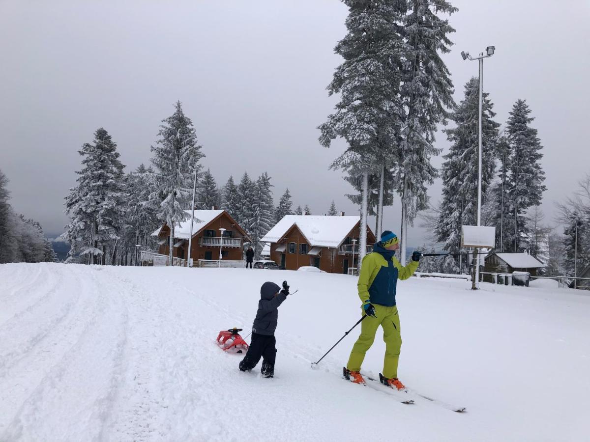 Chalet Anra Pohorje Zgornje Hoce Eksteriør billede