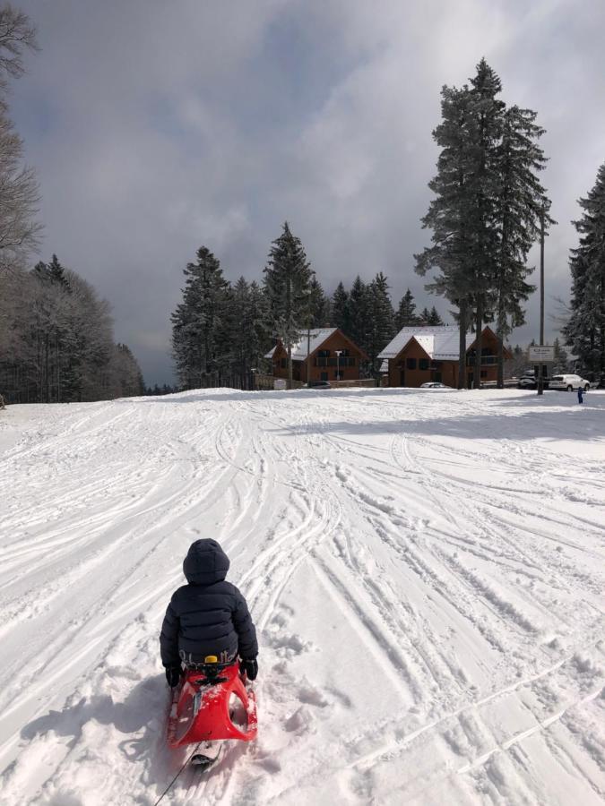 Chalet Anra Pohorje Zgornje Hoce Eksteriør billede
