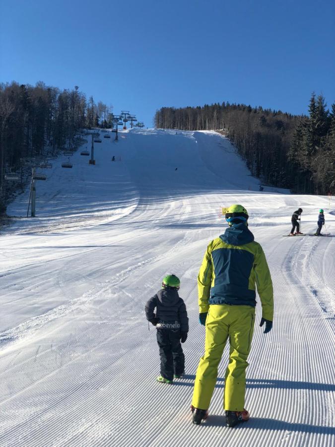 Chalet Anra Pohorje Zgornje Hoce Eksteriør billede