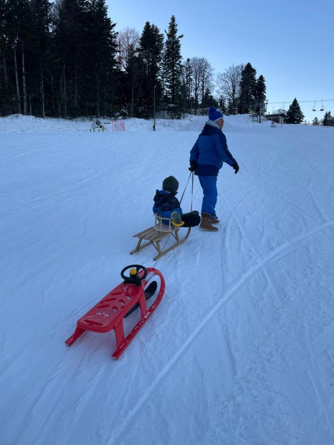 Chalet Anra Pohorje Zgornje Hoce Eksteriør billede