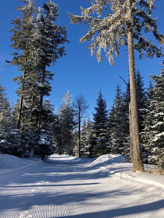 Chalet Anra Pohorje Zgornje Hoce Eksteriør billede