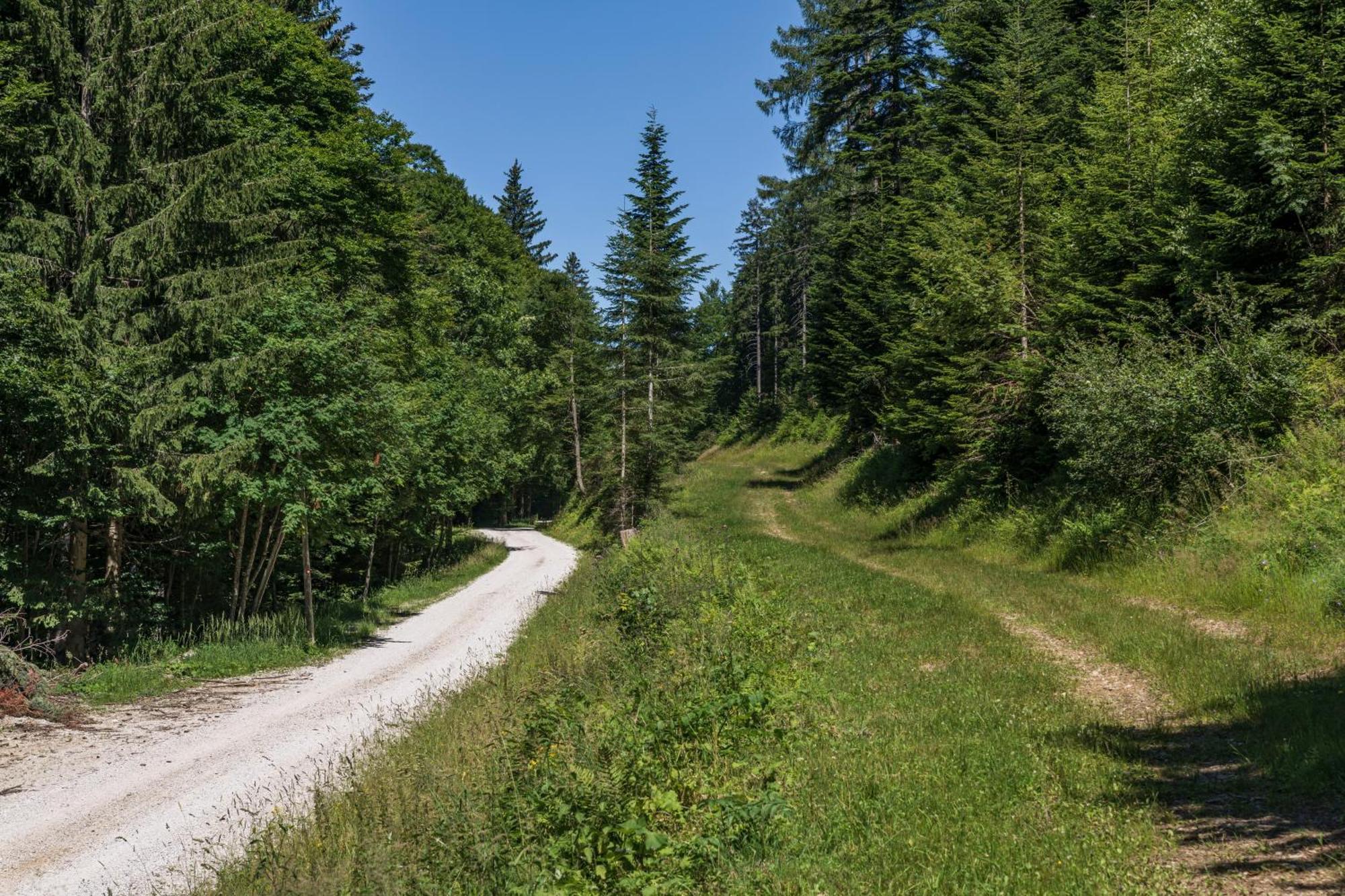 Chalet Anra Pohorje Zgornje Hoce Eksteriør billede